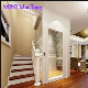 Luxury and Elegant Home Lift Villa Elevator with OEM ODM Service