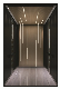 Mrl Passenger Elevator for Energy Saving manufacturer