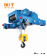 Double Girder Wire Rope Hoist (ML) Lifting Manufacturer manufacturer