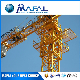  Qtz80 6012 6t Construction Building Topkit Tower Crane