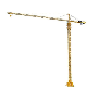 Manufacture Price Topkit Tower Crane (TC7032) manufacturer