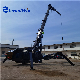 Lifting Capacity 3 Tons Black Spider Crane