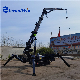  Heavy Duty 8 Ton Mini Crawler Crane / 5 Ton Spider Crane Price for Sale