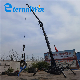 12ton Spider Crane with CE SGS with Fly Jib and Basket manufacturer