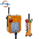 F24-6D Telecrane Electric Hoist Crawler Tractor Radio Two-Step Speed Button Industrial Remote Control manufacturer