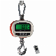 Portable Hanging Scale LCD Display with Back Light 30kg-300kg manufacturer