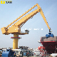  The Balanced Crane Equilibrium Crane Manufacturer of Bulk Material Scrap Cranes E-Crane Harbor Offshore Crane