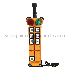  Overhead Crane Wireless Remote Control for Industrial Remote Control/Radio Remote Control F24-6D for Crane