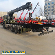 Isuzu 10 Wheels Truck Mounted 5rams 12t Crane Telescopic Crane manufacturer