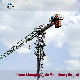  Construction Building Equipment Qtp50-5010-5t Tower Crane
