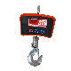  HK 500kg with Remote Control Digital Hook Weight Scales