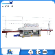 Zxm-La522 Glass Straight Line Edging Machine, Glass Edger Machinery, Glass Polishing Machine