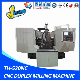  Bed Type Stainless Steel CNC Twin Head Milling Machine with CE