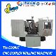 Bed Type Stainless Steel CNC Twin Head Milling Machine with CE