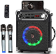 Two Wireless Microphonesportable Bluetooth Speaker with Bass Treble Adjustment Karaoke Machine