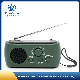 Multifunct Emergency Outdoor Exploration Am/FM Portable Radio Solar/Powered Flashlight Radio