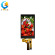 Factory Price 4.3 Inch Capacitive Touch Screen 480*800 Vertical LCD Display TFT Panel