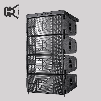 Cvr Professional Audio Outdoor Loudspeakers Dual 12" Line Array System