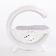 Multifunctional Wireless Fast Charger Portable Smart Speaker with Alarm Clock Night Light manufacturer