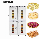 Heavybao Stainless Steel Fruit Vegetable Meat Dryer Food Dehydrator