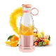 Hot Selling Portable 350ml Fruit Ice Mixer Cup Blender USB Charge Juicers manufacturer