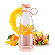 Hot Selling Portable 350ml Fruit Ice Mixer Cup Blender USB Charge Juicers