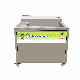  Small Type Fruit and Vegetable Washer Commercial Washing Machine for Hotel