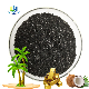  Gold Extraction Bulk Pharmacy Powder Chemical Formula Activated Carbon