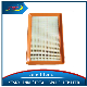 High Efficiency Auto Parts Car Air Filter 28113-22051 for Hyundai