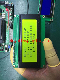 Big 20*4 Dots Character LCM Stn COB Display LCD Board 20X4 Size LCD (RYP2004A)