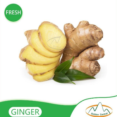 New Ginger Fresh Zingiber Wholesale From Chinese Suppliers for Fresh Red Ginger