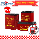 Csbattery 12V 200ah/250ah/300ah Storage Lead-Acid AGM Battery for Car/Motorcycle/EPS/Boat/Power-Tool/Pack/Cse