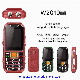 Support Multiple Languages Mobile Phone manufacturer