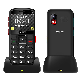 OEM/ODM 2.31 Inch Screen Big Button Big Fonts 1700mAh 4G Senior Elder Mobile Phone with Hearing Aid