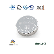 Cr2477 Henli Max Cr2450/Cr2032/Cr2025/Cr2016/Cr1632/Cr1225/Cr1220 Primary 3V Lithium Button Cell Coin Battery for Remote Control, POS, Blood Glucose Meter, ESL manufacturer