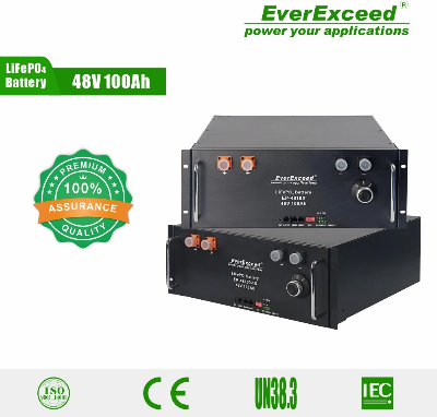 A Grade Prismatic LiFePO4 Cell 5kwh LiFePO4 51.2V 100ah Lithium Iron Battery