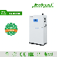  10kwh Solar Smart All-in-One Energy Storage System for Home Power Supply with LiFePO4 Battery Pack and Solar Hybrid Inverter