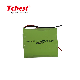 Ni-MH 2/3A 1200mAh 6V Rechargeable Battery for E-Toys Player Battery