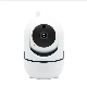Night Vision Mini Wireless Two-Way Audio Auto Tracking Baby Monitor WiFi PTZ IP CCTV Camera manufacturer