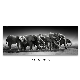 Elephant Herds Canvas Art Digital Printed Wall Art Modern Wall Art Picture for Living Room Hotel Bedroom Decoration