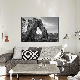 Cusutom Hot Selling Wall Art Decor Modern Photography Pictures for Home 2023 Trend Wall Decorations for Unique Decor