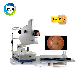 in-Vder (Model A) New Auto Optical Digital Fundus Camera Price