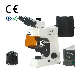 Peak Microscopetrinocular Fluorescence Microscope with Digital Camera for Microscope LED Light