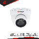 Banovision 2MP 1080P Video Auto Focus IP Nework Dome Zoom Digital HD Camera From CCTV Camera Supplier