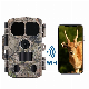 4K Night Vision Scouting Wildlife Camera Photo Trap Hunting Game Camera with WiFi&Bluetooth