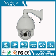  Hot Selling 120m IR Dome PTZ CCTV Camera (SHJ-BL36B)
