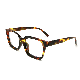 Fashion Retro Testudinarious Cat Eye Glasses Frame Oversize Design Anti Blue Light Blocking Plastic Reading Glasses for Men for Women