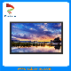 43 Inch TFT LCD Module with 3840*2160 Pixel/Full View/IPS for LCD Monitor/LCD TV/Advertising/Kiosk/ATM/White Board/Smartboard Display