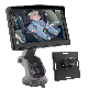  Car Baby Monitor Reversing Camera and 5inch Monitor System