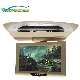  Roof Mount TFT LCD Screen 9inch /10inch LCD Monitor